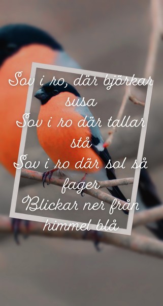 Klicka för att se förhandsgranska